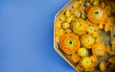 Mavi arka planda klasik bakır kasede turuncu ranunculus çiçekleri. Güzel çiçekli pankart