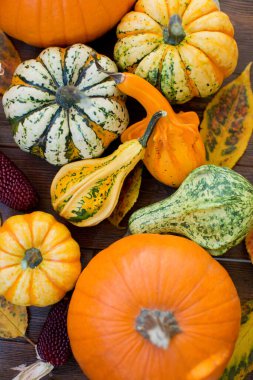 Dekoratif sonbahar balkabaklarının arka planı. Ahşap zemin üzerinde sonbahar yaprakları olan turuncu, sarı ve yeşil balkabakları. Cadılar Bayramı partisinin Şükran Günü hazırlıkları