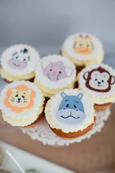 Jungle Safari Animal Birthday Sweets Cookies Macarons Cupcakes Sugar Animal — Stock Photo, Image