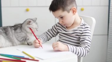 Küçük beyaz çocuk evde kedisiyle resim çiziyor. Aydınlık odada beyaz sandalyede oturan ve beyaz masaya resim çizen çocuk.