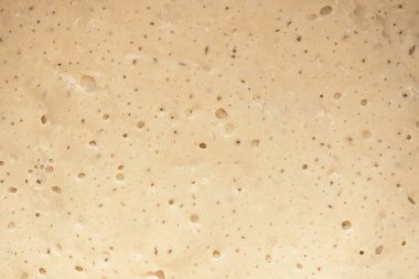 Ev yapımı ekşi ekmek mayalı mayalı mayalı mayalı mayalı ev yapımı ekmek hazırlama işlemi. Sağlıklı yeme kavramı