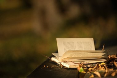 Sonbahar parkında ahşap bir bankta açık bir kitap.