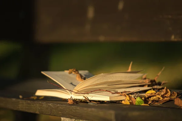 Libro Abierto Banco Madera Parque Otoño — Foto de Stock