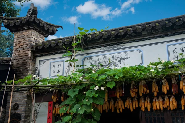 Fazenda de Yunnan Dali Bai Dragon City — Fotografia de Stock