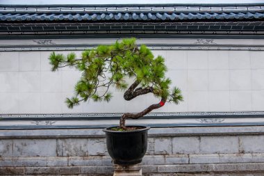 Ahşap ev Lijiang, Yunnan çam kapı karşılama