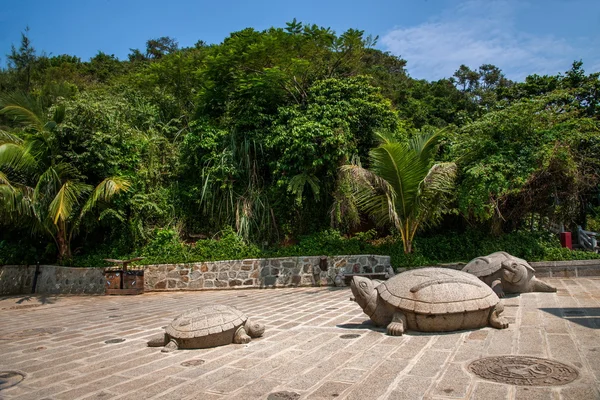 Isola di confine Lingshui Shou Turtle Park — Foto Stock