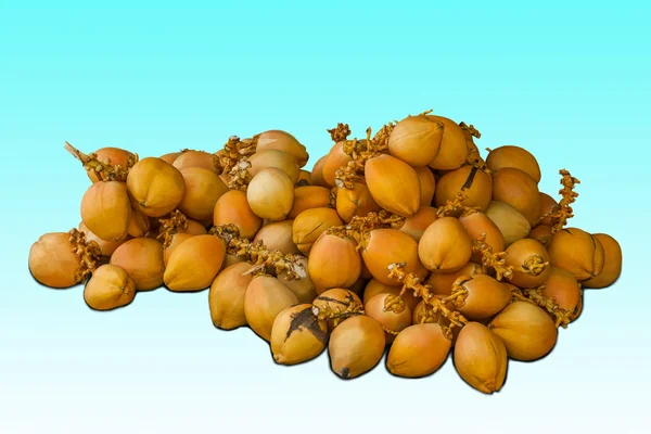 Размер киоска с кокосовыми фруктами в пещере — стоковое фото