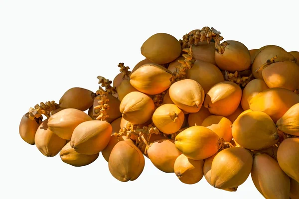 Размер киоска с кокосовыми фруктами в пещере — стоковое фото