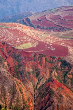 Dongchuan, Yunnan kırmızı toprak batışı hendek kış