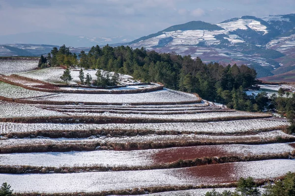Дунчуань, Юннан Червоної землі snowy сфера в "оцінка увігнутих" тераси — стокове фото