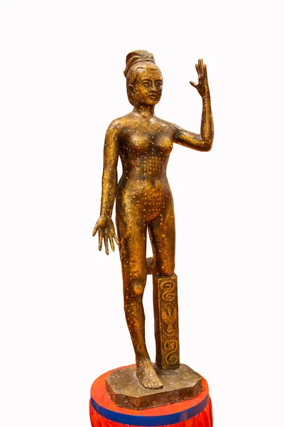 Geleneksel Çin tıbbı akupunktur bronz