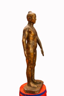 Geleneksel Çin tıbbı akupunktur bronz