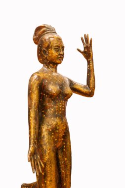 Geleneksel Çin tıbbı akupunktur bronz