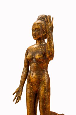 Geleneksel Çin tıbbı akupunktur bronz