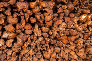 Yuanjiang bu sözü kırsal çiftlik evi yakacak odun