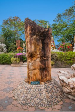 Pattaya, Tayland Bahçe fosiller milyonlarca yıl