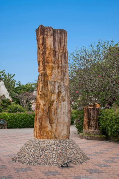 Pattaya, Thailand Garden fossils millions of years — Stock Photo, Image