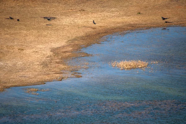 Yunnan Haifeng wetland — Stockfoto