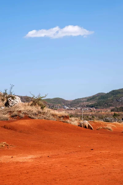 Yunnan Haifeng wetland edges Red Land — Stock Photo, Image