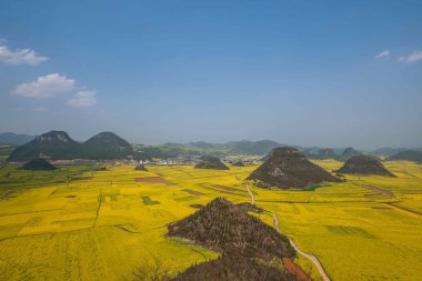 Kanola çiçek Luoping horoz tepe altında