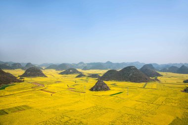Kanola çiçek Luoping horoz tepe altında