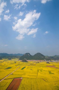 Kanola çiçek Luoping horoz tepe altında