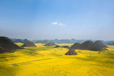 Kanola çiçek Luoping horoz tepe altında