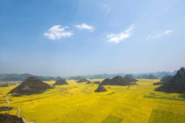 Kanola çiçek Luoping horoz tepe altında