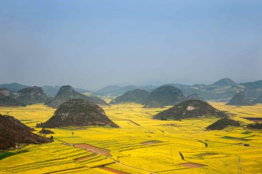 Kanola çiçek Luoping horoz tepe altında