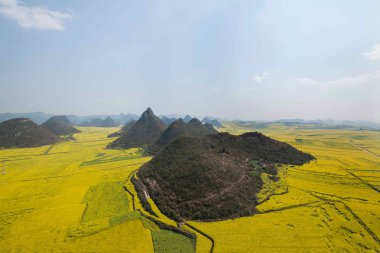 Kanola çiçek Luoping horoz tepe altında