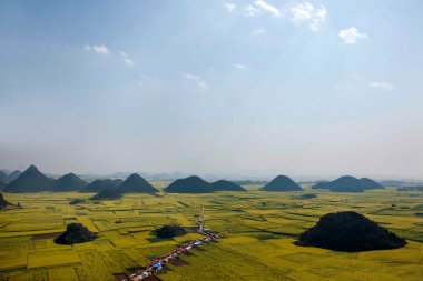 Kanola çiçek Luoping horoz tepe altında