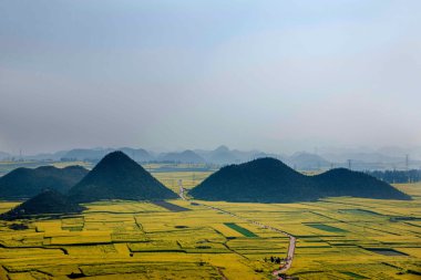 Kanola çiçek Luoping horoz tepe altında