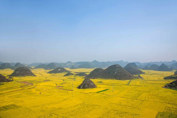 Kanola çiçek Luoping horoz tepe altında — Stok fotoğraf