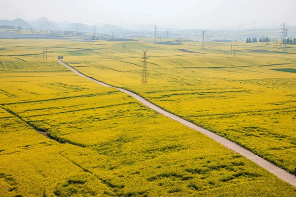 Kanola çiçek Luoping horoz tepe altında