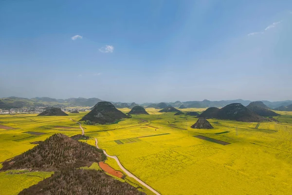 Kanola çiçek Luoping horoz tepe altında