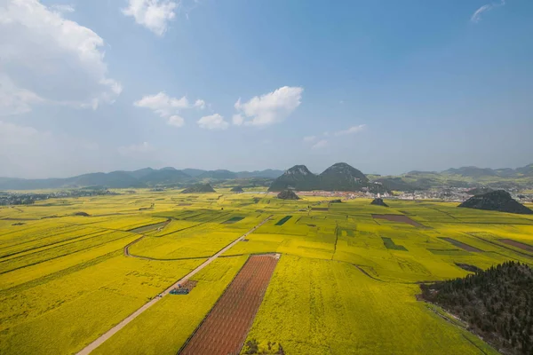 Kanola çiçek Luoping horoz tepe altında — Stok fotoğraf