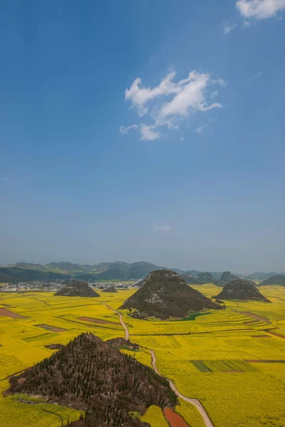 Kanola çiçek Luoping horoz tepe altında — Stok fotoğraf