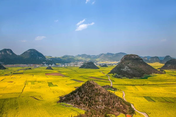 Kanola çiçek Luoping horoz tepe altında