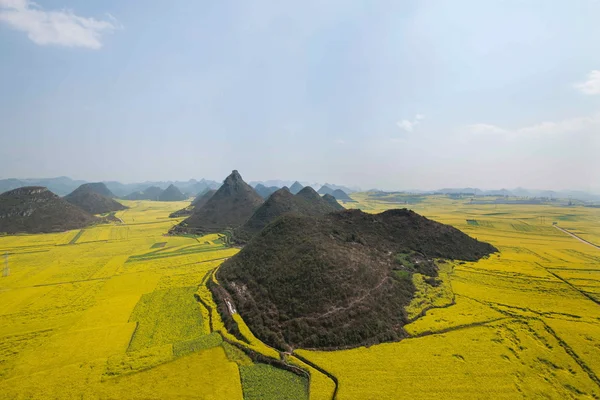 Kanola çiçek Luoping horoz tepe altında