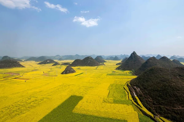 Kanola çiçek Luoping horoz tepe altında — Stok fotoğraf