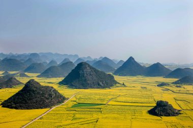 Kanola çiçek Luoping horoz tepe altında