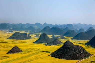 Kanola çiçek Luoping horoz tepe altında
