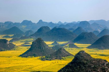 Kanola çiçek Luoping horoz tepe altında