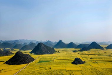 Kanola çiçek Luoping horoz tepe altında