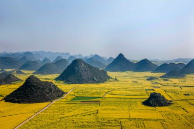 Kanola çiçek Luoping horoz tepe altında