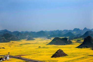 Kanola çiçek Luoping horoz tepe altında