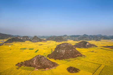 Kanola çiçek Luoping horoz tepe altında