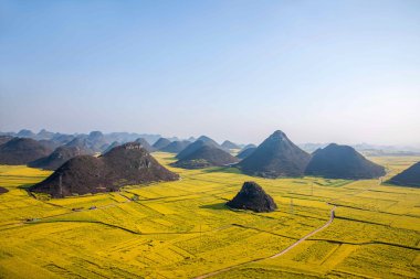 Kanola çiçek Luoping horoz tepe altında