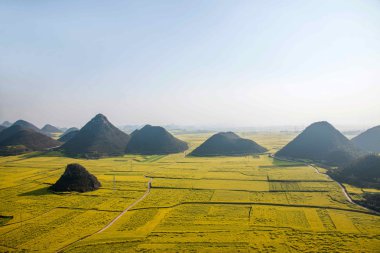 Kanola çiçek Luoping horoz tepe altında