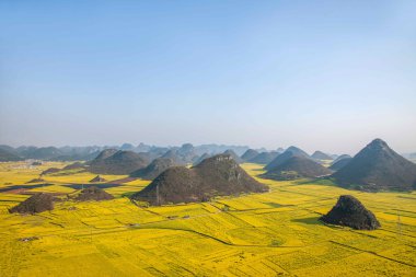 Kanola çiçek Luoping horoz tepe altında